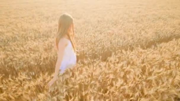 Young Woman Walks Ripe Wheat Field Bright Sunlight Touching Golden — Stok video