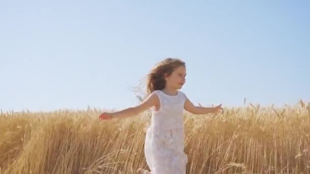 Blonde Little Girl Runs Wheat Field Touching Golden Spikelets Hand — Vídeos de Stock