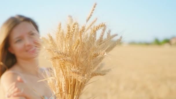 Happy Young Woman Holds Handmade Bouquet Ripe Wheat Spikelets Blonde — Vídeos de Stock