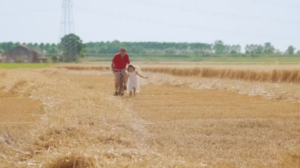 Little Girl Runs While Elderly Man Rides Bicycle Wheat Field — Vídeos de Stock