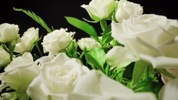 Beautiful White Roses Tender Petals Green Leaves Black Background Fresh — Stockvideo