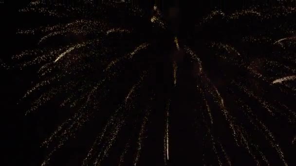 Bright Colorful Fireworks Burst Air Dark Sky Late Night Venice — Vídeo de Stock