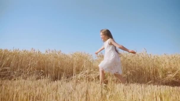 Little Girl Enjoys Running Ripe Wheat Field Blue Sky Sunny — Vídeo de stock