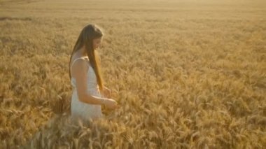 Long-haired woman walks in golden wheat field touching spikelets with hands. Blonde lady in summer frock enjoys nature in countryside on sunny day