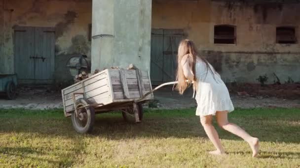 Long Haired Woman Pushes Heavy Wooden Cart Firewood Old Ruined — Stockvideo