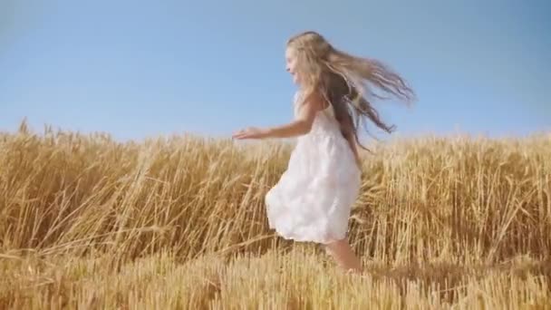 Cheerful Girl Long Loose Hair Runs Golden Wheat Field Clear — Stock video