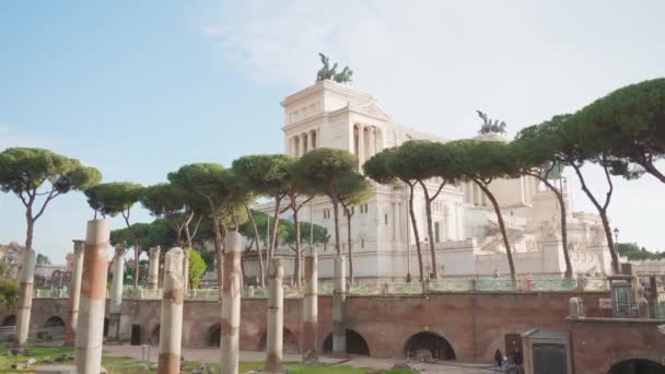 High Trees Grow Altar Fatherland Antique Rome Sunny Day Ancient — Vídeos de Stock