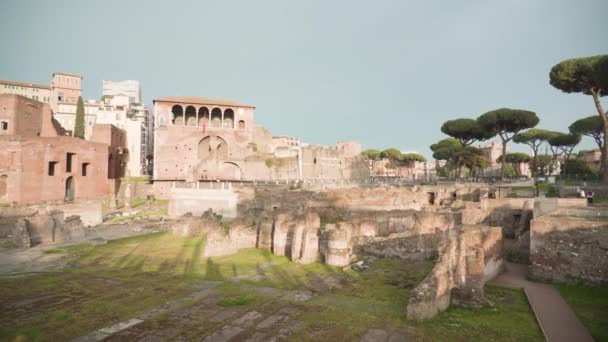 Rome Italy May 2022 Trajan Forum Ancient Ruins Green Trees — Stockvideo