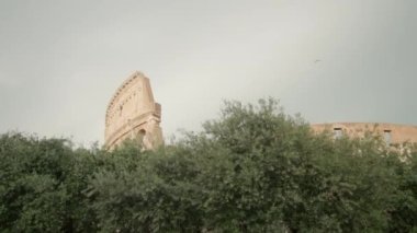 Highest part of Colosseum seen behind lush green trees growing in Rome under cloudy sky. Large ancient amphitheater built in Italian city