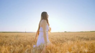 Long-haired young woman in white frock walks touching wheat spikelets growing in field under blue sky. Blonde lady enjoys summer in countryside