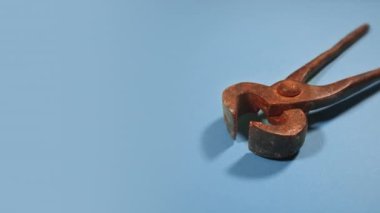 Pincer on blue background with copy space