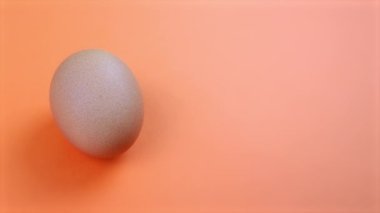 Raw chicken egg on orange background