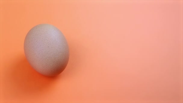 Raw Chicken Egg Orange Background — Vídeo de stock
