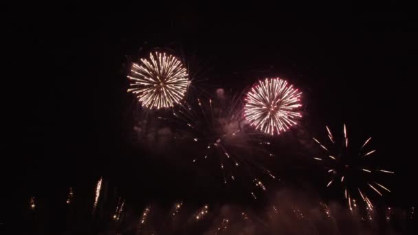 Φωτεινά Πολύχρωμα Πυροτεχνήματα Φωτίζουν Σκοτεινό Νυχτερινό Ουρανό Πάνω Από Βενετία — Αρχείο Βίντεο
