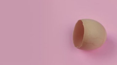 Eggshell on pink background with copy space