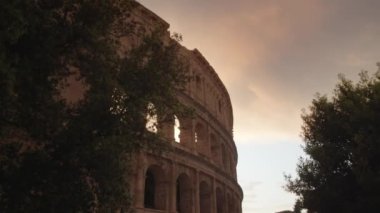 Silhouettes of trees growing near historical Colosseum in cloudy summer evening in Rome. Ancient amphitheater built in center of city at sunset