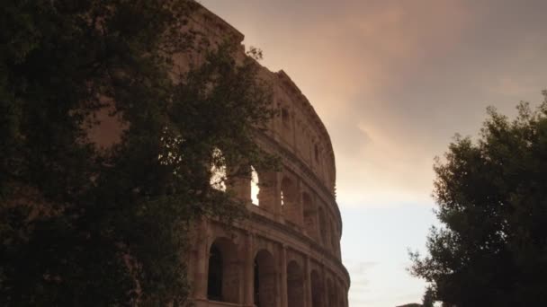 Silhouettes Trees Growing Historical Colosseum Cloudy Summer Evening Rome Ancient — Stockvideo