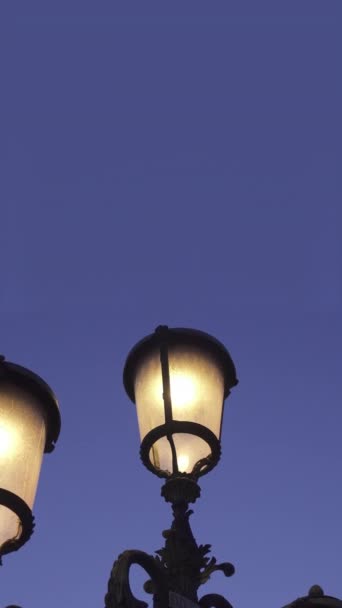 Street Lamps Venice Night — Stockvideo