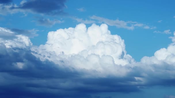 Fluffy White Clouds Float Clear Blue Sky Sunny Summer Day — Stockvideo