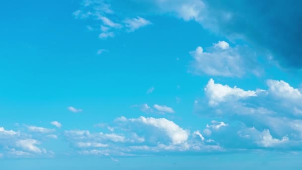 Grey White Cumulus Clouds Float Bright Clear Blue Sky Sunny — Stock video