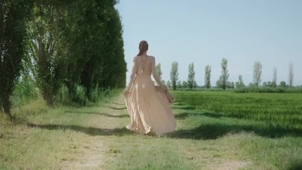 Zarif Elbiseli Kadın Yeşil Yaz Doğasında Yürüyor — Stok video