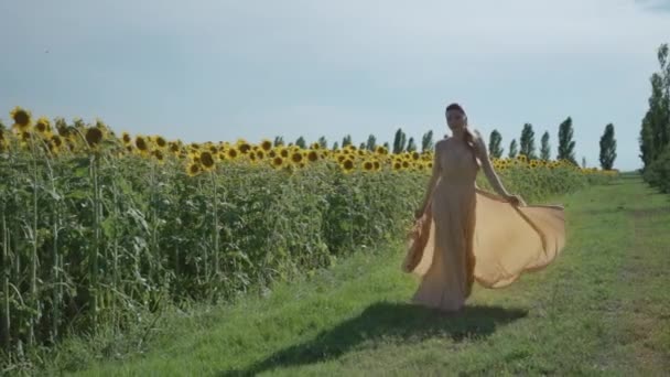 Mladá Žena Kráčí Jasných Elegantních Šatech Letním Slunečnicovém Poli — Stock video