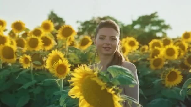 Mulher Sorridente Firme Entre Belas Plantas Girassol Amarelo — Vídeo de Stock