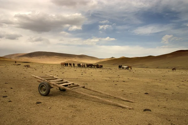Mongolia — Stock Photo, Image