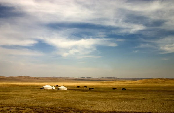 Mongolia, deserto del Gobi Foto Stock Royalty Free