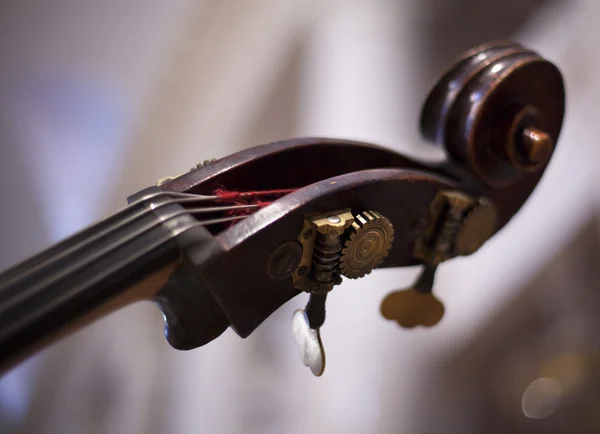 Double Bass — Stock Photo, Image