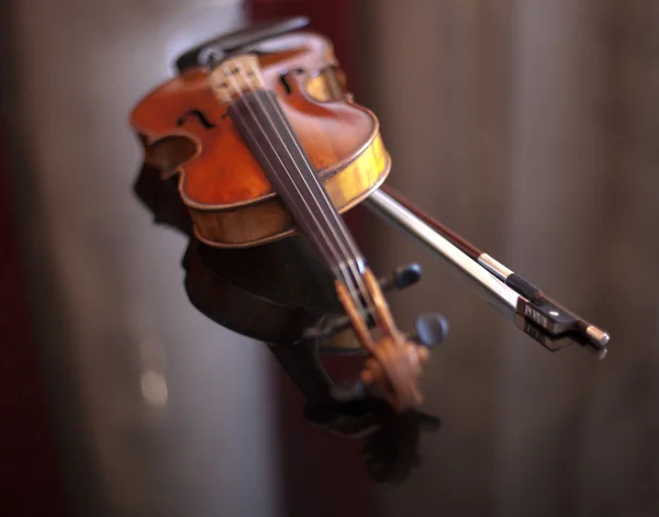 Violino — Fotografia de Stock