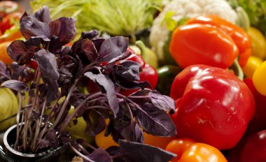 sebze meyve şarap dahil olmak üzere çeşitli bakkal ürünleri, süt ve et ekmek