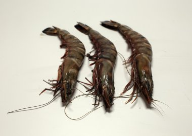 sebze meyve şarap dahil olmak üzere çeşitli bakkal ürünleri, süt ve et ekmek