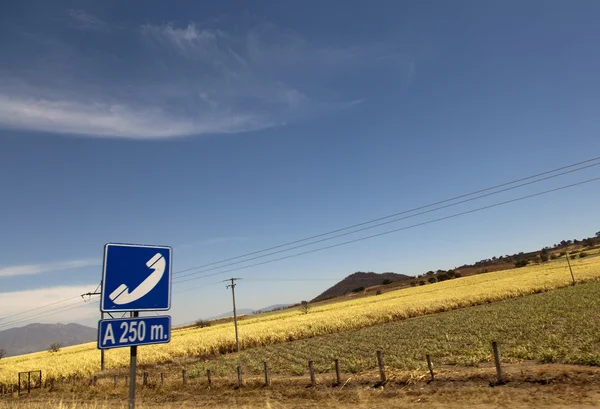 道路 — ストック写真