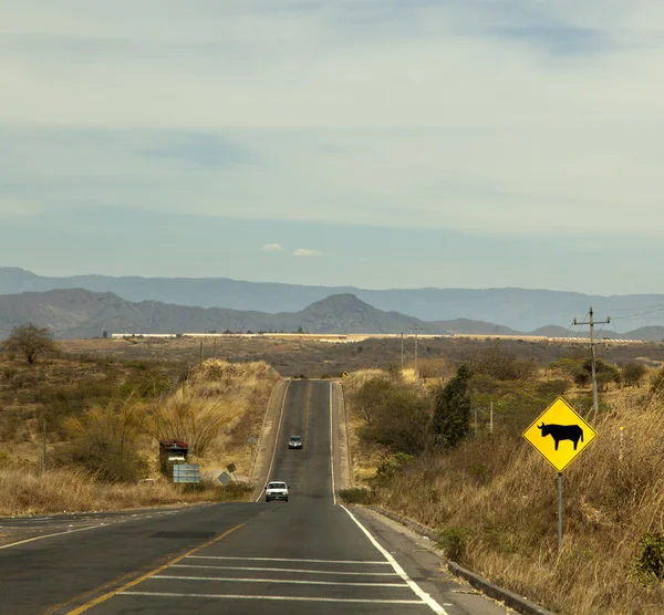 Yol — Stok fotoğraf