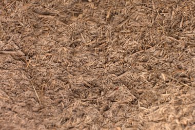 Çok Eski Ahşap Arkaplan