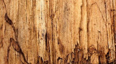 Çok Eski Ahşap Arkaplan