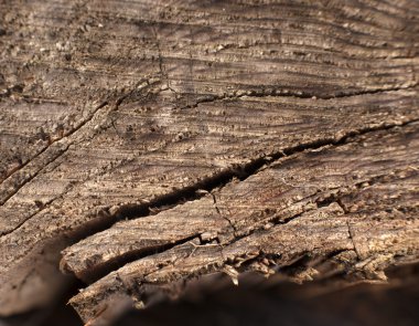 Çok Eski Ahşap Arkaplan