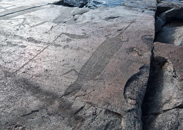 Antiguos Petroglifos Lago Onega Kaleria Capa Nariz Del Diablo —  Fotos de Stock