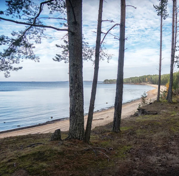 Piękny Widok Okolice Jeziora Onega Rosja — Zdjęcie stockowe