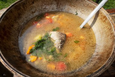 Ev mutfağında balık çorbası pişirmek. Balık çorbası kıyı sakinleri için geleneksel bir yemektir. Ev yemeği. Ev yapımı yemek..