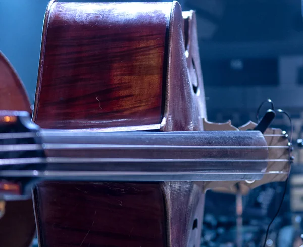 Instrumentos Musicales Dos Contrabajo Contrabajo Están Sala Orquesta Espera Los —  Fotos de Stock