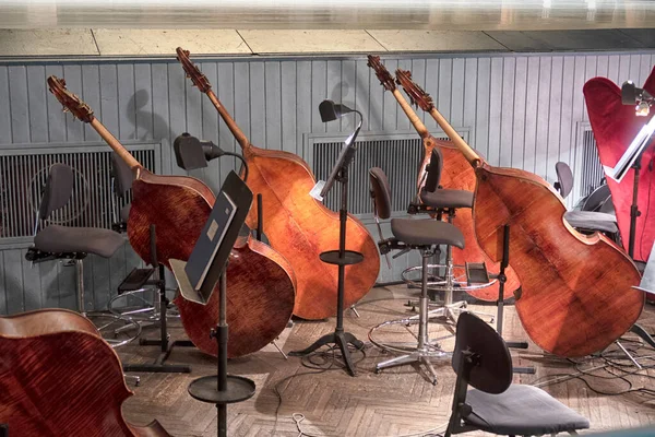 Instrumentos Musicais Dois Contrabaixo Contrabaixo Estão Sala Orquestra Pendência Dos — Fotografia de Stock