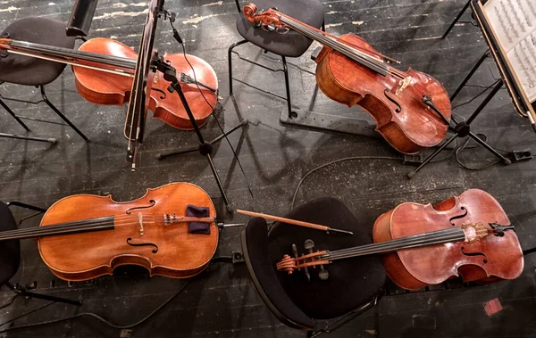 Hangszerek Hegedű Zenekari Teremben Amíg Zenészek Próba Előtt Várnak — Stock Fotó