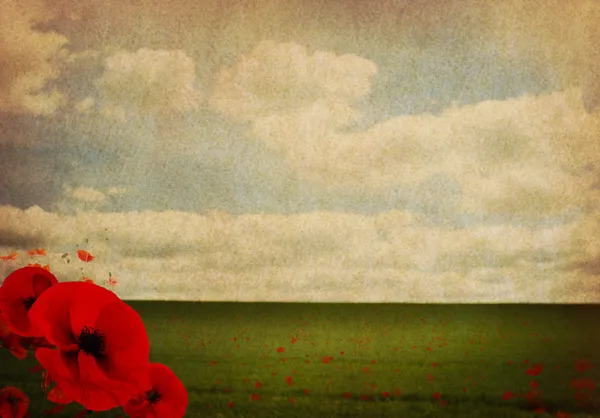 WW1 First World War Abstract Background with Poppies — Stock Photo, Image