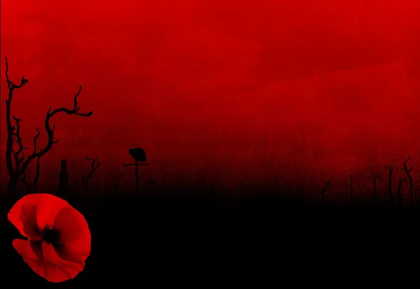 WW1 First World War Abstract Background with Poppy — Stock Photo, Image