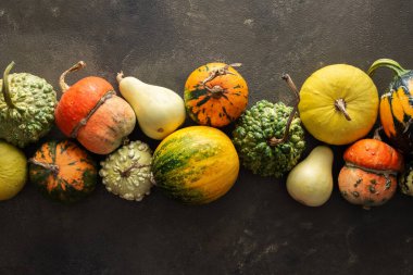 Yeşil zemin üzerinde dekoratif ve yenilebilir balkabakları, üst görünüm, sonbahar arkaplanı, kopyalama alanı