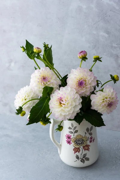 Küresel yıldız çiçeklerinin güzel sonbahar buketi bir masanın üzerindeki vazoda gri bir duvarın arka planında.