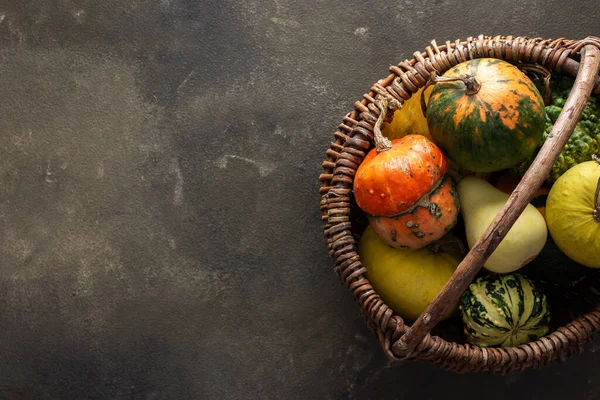 Yeşil arka plan, üst görünüm, sonbahar arkaplan, kopyalama alanı üzerinde hasır sepette dekoratif ve yenilebilir balkabakları