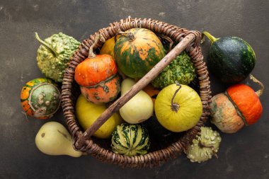 Kabak yeşil bir arka plan üzerinde